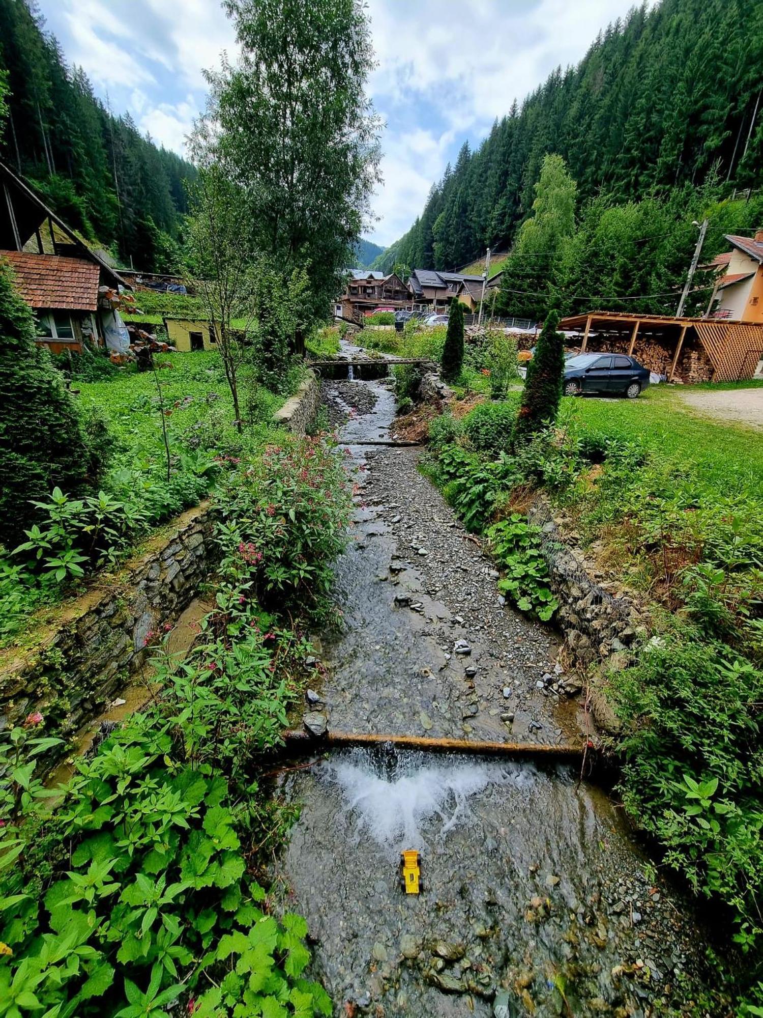 Maison d'hôtes Cabanuta Cocotata Rucăr