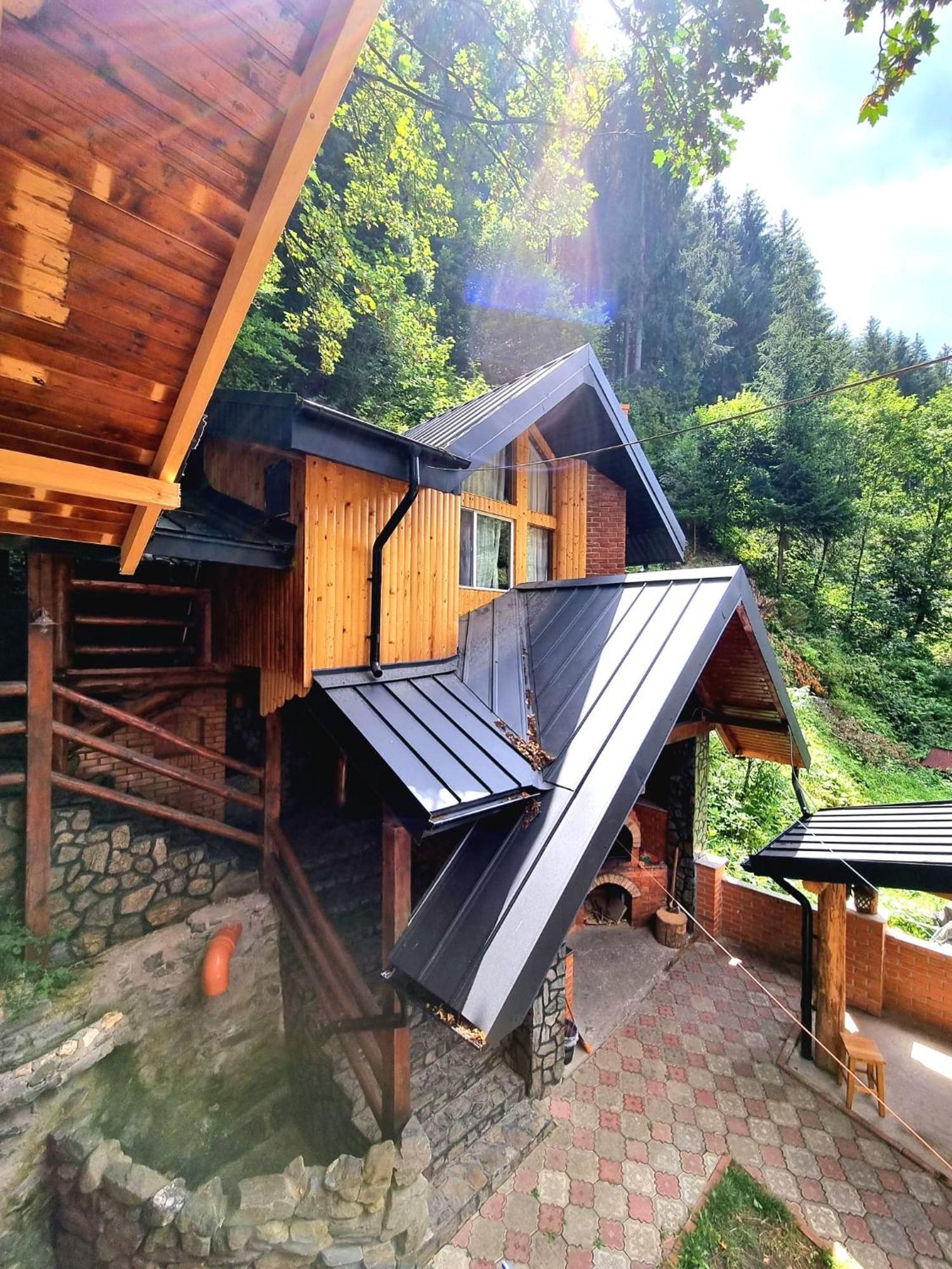 Cabanuta Cocotata Rucăr