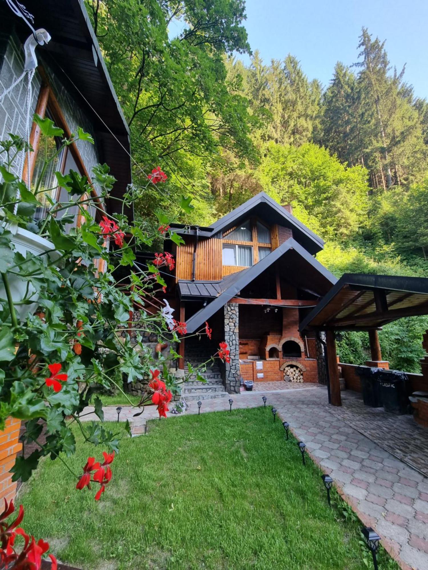 Cabanuta Cocotata Maison d'hôtes Rucăr